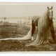 Illustration for article titled The real-life My Little Ponies were creepy and magnificent beasts